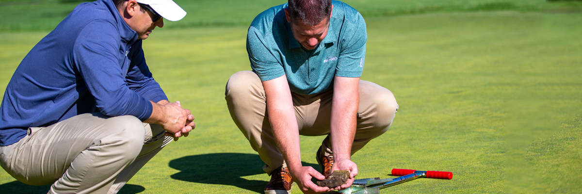 taking a root sample on a green